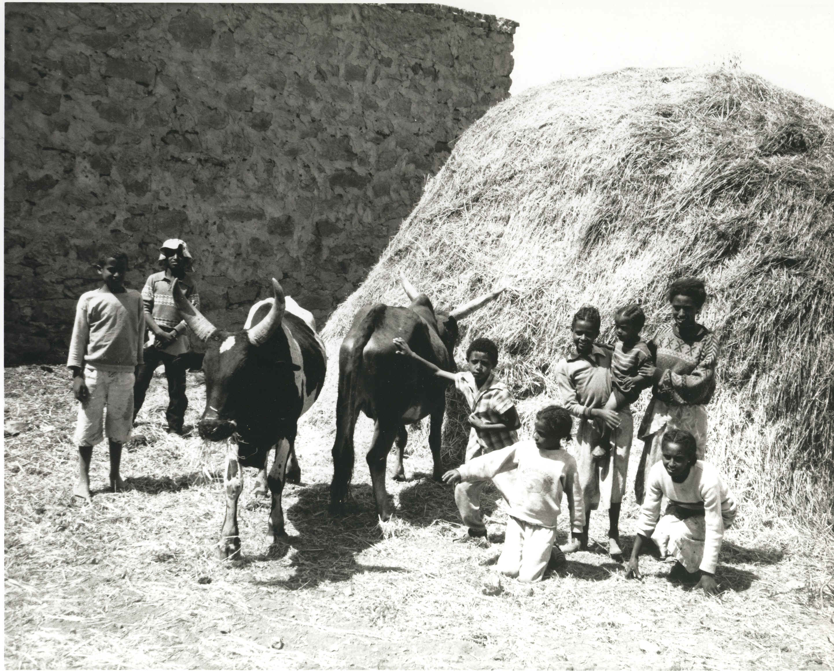 ethiopia1 ethiopia1